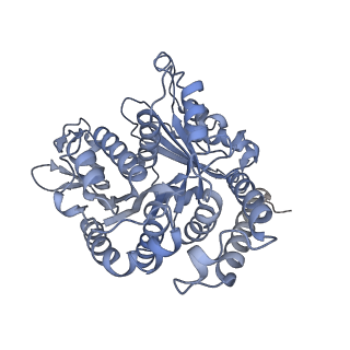 40220_8glv_8H_v1-2
96-nm repeat unit of doublet microtubules from Chlamydomonas reinhardtii flagella