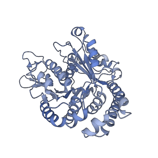 40220_8glv_8I_v1-2
96-nm repeat unit of doublet microtubules from Chlamydomonas reinhardtii flagella