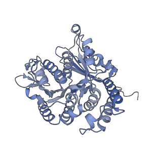 40220_8glv_8J_v1-2
96-nm repeat unit of doublet microtubules from Chlamydomonas reinhardtii flagella