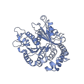 40220_8glv_8K_v1-2
96-nm repeat unit of doublet microtubules from Chlamydomonas reinhardtii flagella