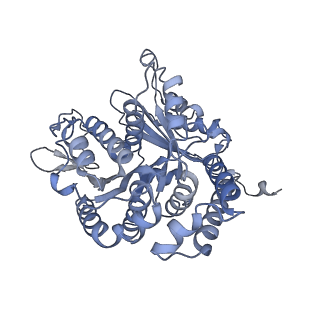 40220_8glv_8L_v1-2
96-nm repeat unit of doublet microtubules from Chlamydomonas reinhardtii flagella