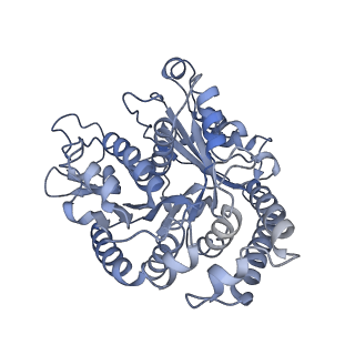 40220_8glv_8M_v1-2
96-nm repeat unit of doublet microtubules from Chlamydomonas reinhardtii flagella