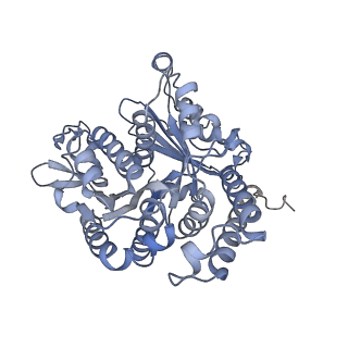 40220_8glv_8N_v1-2
96-nm repeat unit of doublet microtubules from Chlamydomonas reinhardtii flagella