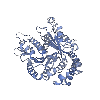 40220_8glv_A0_v1-2
96-nm repeat unit of doublet microtubules from Chlamydomonas reinhardtii flagella