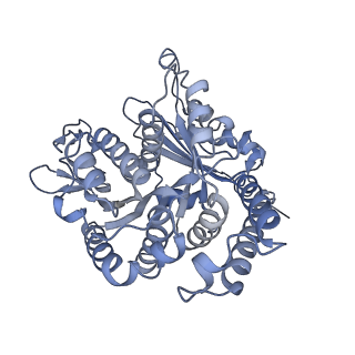 40220_8glv_A1_v1-2
96-nm repeat unit of doublet microtubules from Chlamydomonas reinhardtii flagella