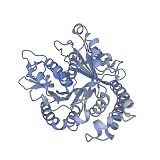 40220_8glv_A2_v1-2
96-nm repeat unit of doublet microtubules from Chlamydomonas reinhardtii flagella