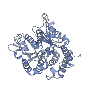 40220_8glv_A3_v1-2
96-nm repeat unit of doublet microtubules from Chlamydomonas reinhardtii flagella