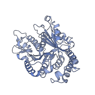 40220_8glv_A4_v1-2
96-nm repeat unit of doublet microtubules from Chlamydomonas reinhardtii flagella