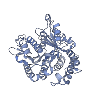 40220_8glv_A5_v1-2
96-nm repeat unit of doublet microtubules from Chlamydomonas reinhardtii flagella