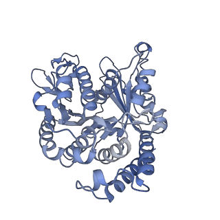 40220_8glv_A6_v1-2
96-nm repeat unit of doublet microtubules from Chlamydomonas reinhardtii flagella