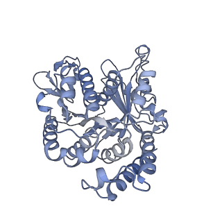 40220_8glv_A7_v1-2
96-nm repeat unit of doublet microtubules from Chlamydomonas reinhardtii flagella