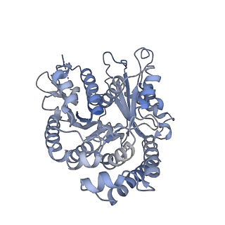 40220_8glv_A8_v1-2
96-nm repeat unit of doublet microtubules from Chlamydomonas reinhardtii flagella