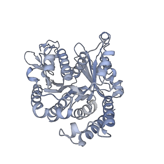 40220_8glv_A9_v1-2
96-nm repeat unit of doublet microtubules from Chlamydomonas reinhardtii flagella