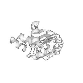40220_8glv_AA_v1-2
96-nm repeat unit of doublet microtubules from Chlamydomonas reinhardtii flagella