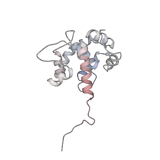 40220_8glv_AC_v1-2
96-nm repeat unit of doublet microtubules from Chlamydomonas reinhardtii flagella