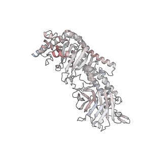 40220_8glv_AE_v1-2
96-nm repeat unit of doublet microtubules from Chlamydomonas reinhardtii flagella