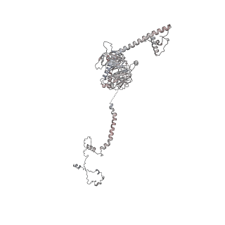40220_8glv_AG_v1-2
96-nm repeat unit of doublet microtubules from Chlamydomonas reinhardtii flagella