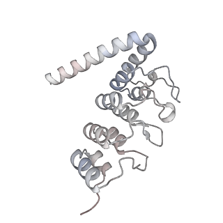 40220_8glv_AH_v1-2
96-nm repeat unit of doublet microtubules from Chlamydomonas reinhardtii flagella