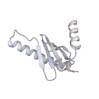 40220_8glv_AI_v1-2
96-nm repeat unit of doublet microtubules from Chlamydomonas reinhardtii flagella