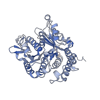 40220_8glv_AJ_v1-2
96-nm repeat unit of doublet microtubules from Chlamydomonas reinhardtii flagella