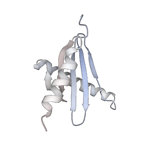40220_8glv_AK_v1-2
96-nm repeat unit of doublet microtubules from Chlamydomonas reinhardtii flagella