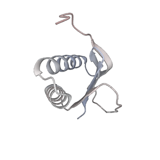 40220_8glv_AL_v1-2
96-nm repeat unit of doublet microtubules from Chlamydomonas reinhardtii flagella