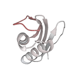 40220_8glv_AO_v1-2
96-nm repeat unit of doublet microtubules from Chlamydomonas reinhardtii flagella