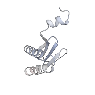 40220_8glv_AU_v1-2
96-nm repeat unit of doublet microtubules from Chlamydomonas reinhardtii flagella
