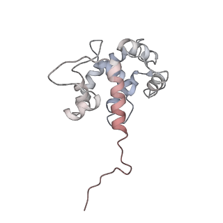 40220_8glv_AZ_v1-2
96-nm repeat unit of doublet microtubules from Chlamydomonas reinhardtii flagella