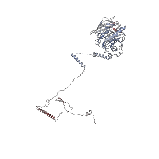 40220_8glv_Aa_v1-2
96-nm repeat unit of doublet microtubules from Chlamydomonas reinhardtii flagella