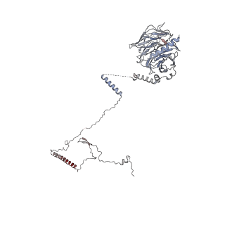 40220_8glv_Ab_v1-2
96-nm repeat unit of doublet microtubules from Chlamydomonas reinhardtii flagella