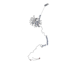 40220_8glv_Ac_v1-2
96-nm repeat unit of doublet microtubules from Chlamydomonas reinhardtii flagella