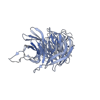 40220_8glv_Ad_v1-2
96-nm repeat unit of doublet microtubules from Chlamydomonas reinhardtii flagella