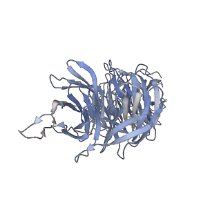 40220_8glv_Ae_v1-2
96-nm repeat unit of doublet microtubules from Chlamydomonas reinhardtii flagella