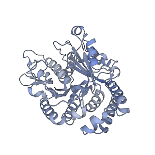 40220_8glv_Ag_v1-2
96-nm repeat unit of doublet microtubules from Chlamydomonas reinhardtii flagella