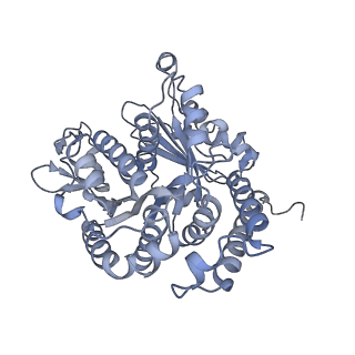 40220_8glv_Ah_v1-2
96-nm repeat unit of doublet microtubules from Chlamydomonas reinhardtii flagella