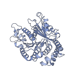 40220_8glv_Ai_v1-2
96-nm repeat unit of doublet microtubules from Chlamydomonas reinhardtii flagella
