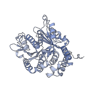 40220_8glv_Aj_v1-2
96-nm repeat unit of doublet microtubules from Chlamydomonas reinhardtii flagella
