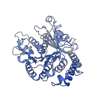 40220_8glv_Ak_v1-2
96-nm repeat unit of doublet microtubules from Chlamydomonas reinhardtii flagella