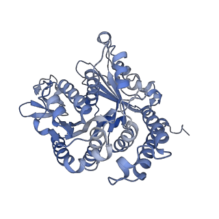 40220_8glv_Al_v1-2
96-nm repeat unit of doublet microtubules from Chlamydomonas reinhardtii flagella