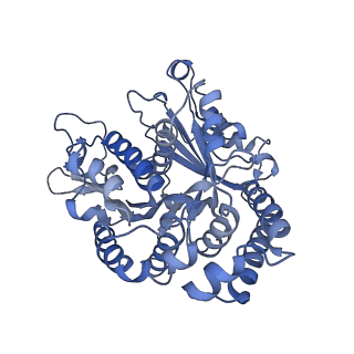 40220_8glv_Am_v1-2
96-nm repeat unit of doublet microtubules from Chlamydomonas reinhardtii flagella