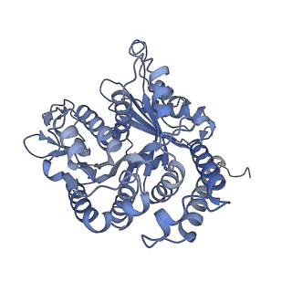 40220_8glv_Ap_v1-2
96-nm repeat unit of doublet microtubules from Chlamydomonas reinhardtii flagella