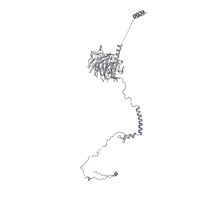 40220_8glv_Aq_v1-2
96-nm repeat unit of doublet microtubules from Chlamydomonas reinhardtii flagella