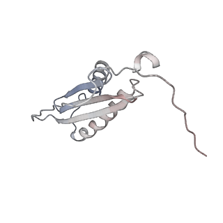40220_8glv_Ar_v1-2
96-nm repeat unit of doublet microtubules from Chlamydomonas reinhardtii flagella
