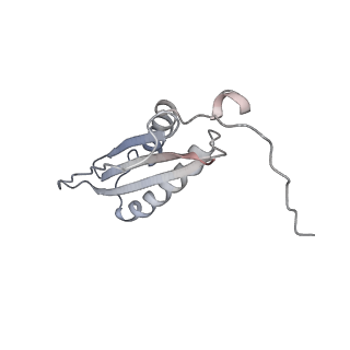 40220_8glv_As_v1-2
96-nm repeat unit of doublet microtubules from Chlamydomonas reinhardtii flagella