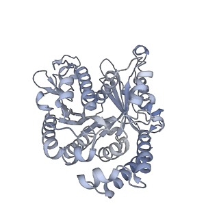 40220_8glv_Au_v1-2
96-nm repeat unit of doublet microtubules from Chlamydomonas reinhardtii flagella