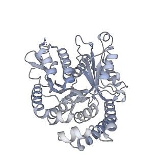 40220_8glv_Av_v1-2
96-nm repeat unit of doublet microtubules from Chlamydomonas reinhardtii flagella