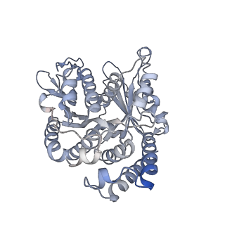 40220_8glv_Aw_v1-2
96-nm repeat unit of doublet microtubules from Chlamydomonas reinhardtii flagella