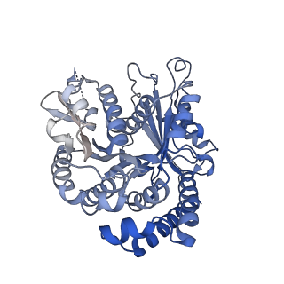 40220_8glv_Ax_v1-2
96-nm repeat unit of doublet microtubules from Chlamydomonas reinhardtii flagella