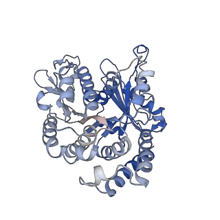 40220_8glv_Ay_v1-2
96-nm repeat unit of doublet microtubules from Chlamydomonas reinhardtii flagella
